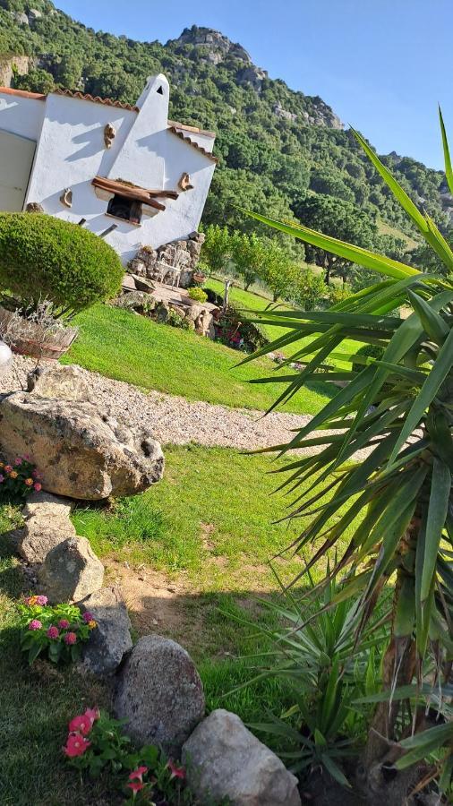 B&B La Chintina ซานต์ อันโตนิโอ ดิ กาลลูรา ภายนอก รูปภาพ